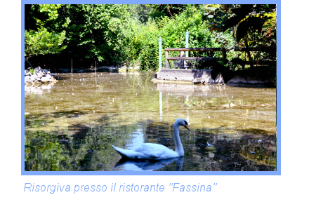 foto risorgiva presso ristorante Fassina foto risorgiva presso ristorante Fassina