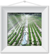 immagine L' acqua per irrigare i campi