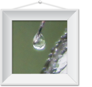 immagine Doccia mattutina