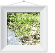 immagine Il potere dell'acqua